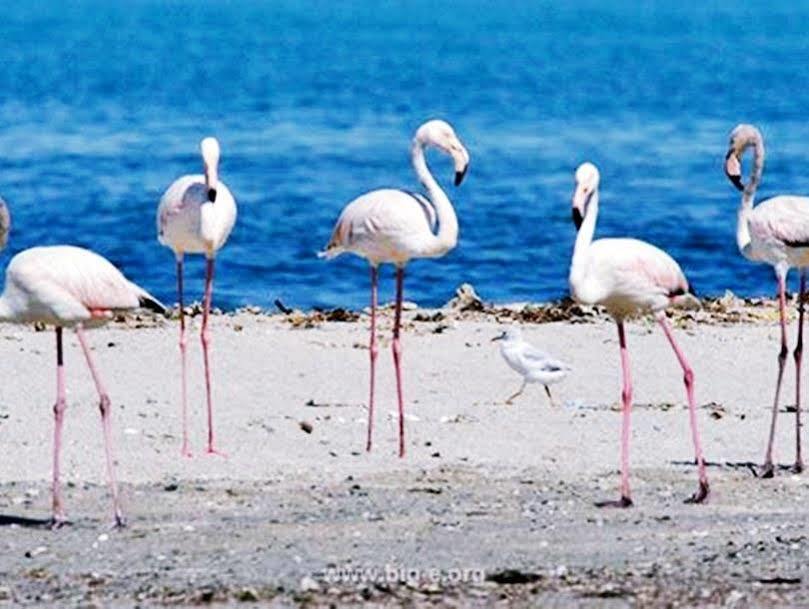 Masira Island 4*
